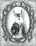 (image for) White Rabbit